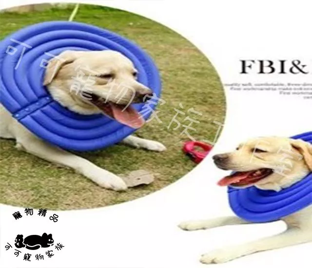 寵物素色款頭套