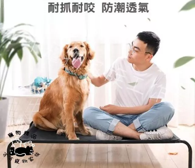 正版P&P寵物行軍床