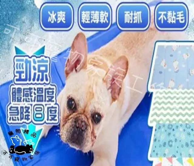 寵物冰墊