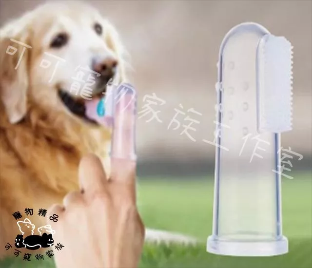 寵物指套牙刷