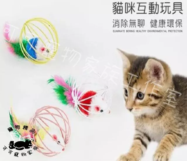 貓咪籠中鼠玩具