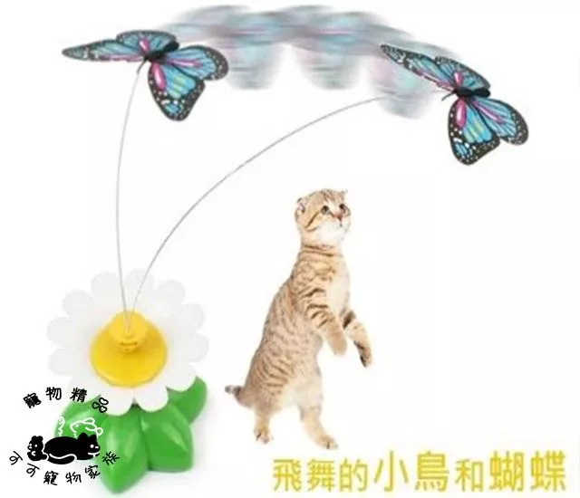 電動逗貓玩具