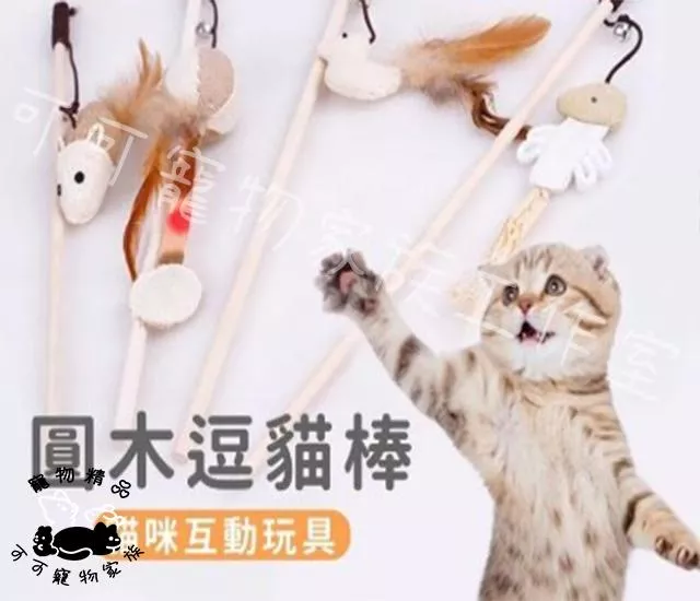 圓木棍逗貓棒