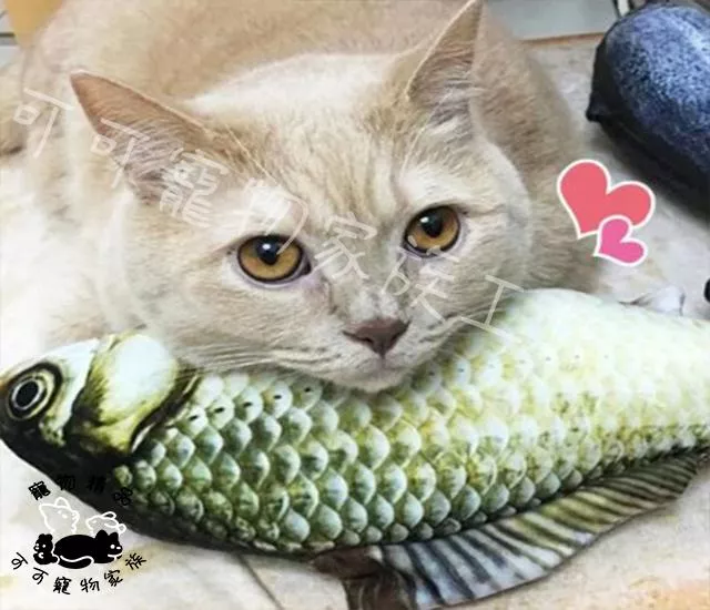 貓薄荷魚抱枕