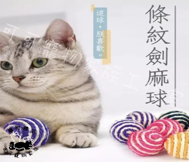 寵物貓咪劍麻球玩具
