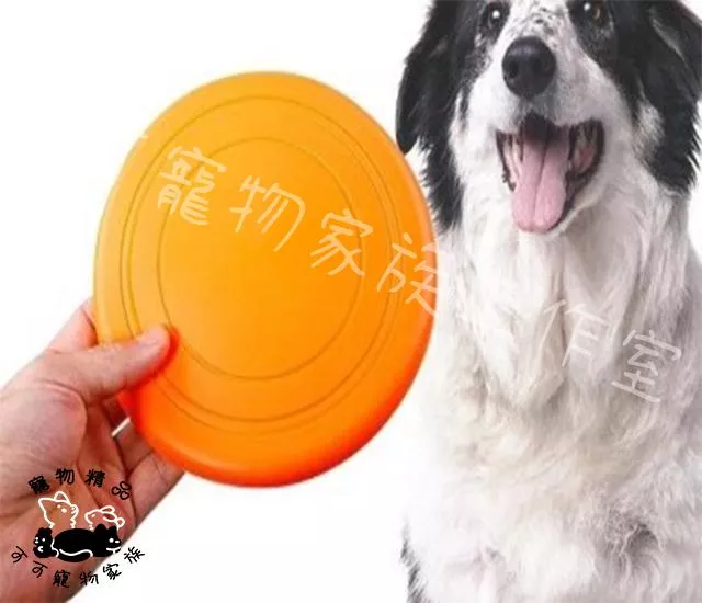 寵物飛盤