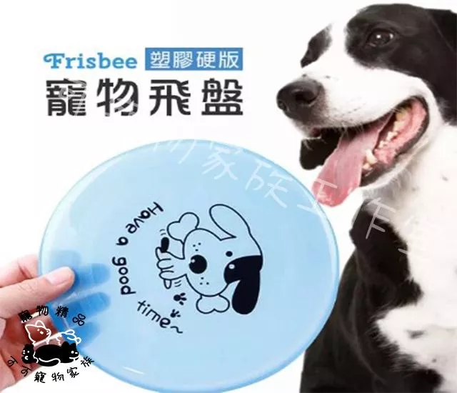 寵物飛盤