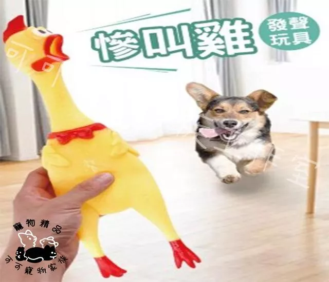 慘叫雞發聲玩具