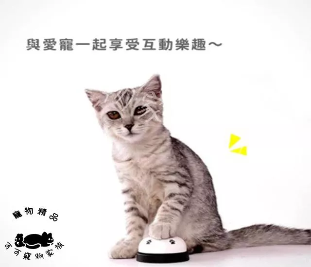 寵物按鈴器