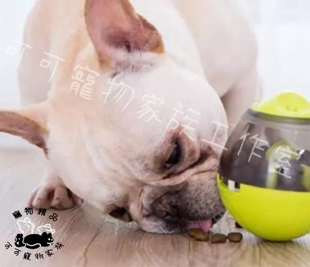 寵物不倒翁漏食球