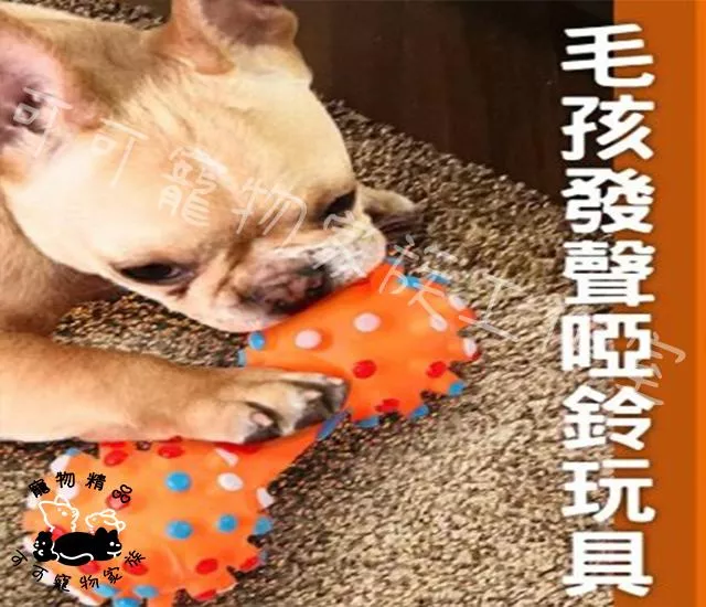 狗腳印發聲啞鈴玩具