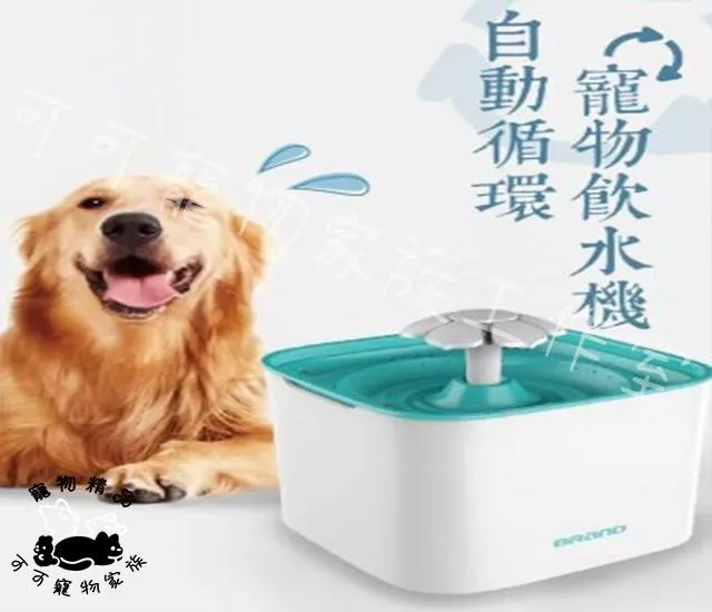 花朵寵物過濾飲水器