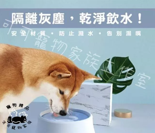寵物浮水碗