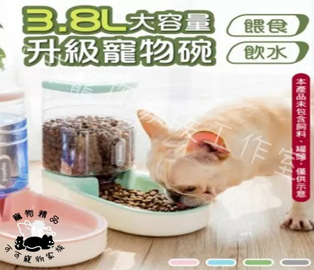 大容量3.8L自動飲水/餵食器