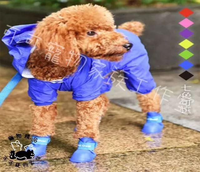 寵物雨鞋