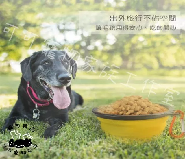 寵物折疊外出碗附扣環