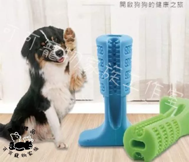 寵物直立潔牙棒