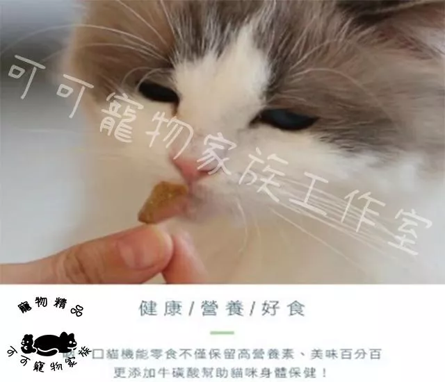 吶一口貓零食