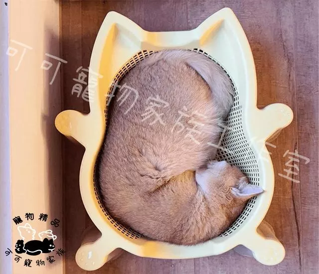 韓國CATBANGSoKuRi貓籃