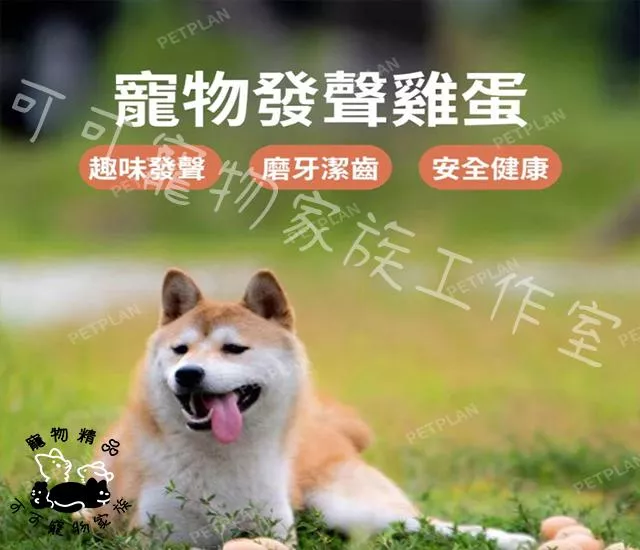 雞蛋彈力球