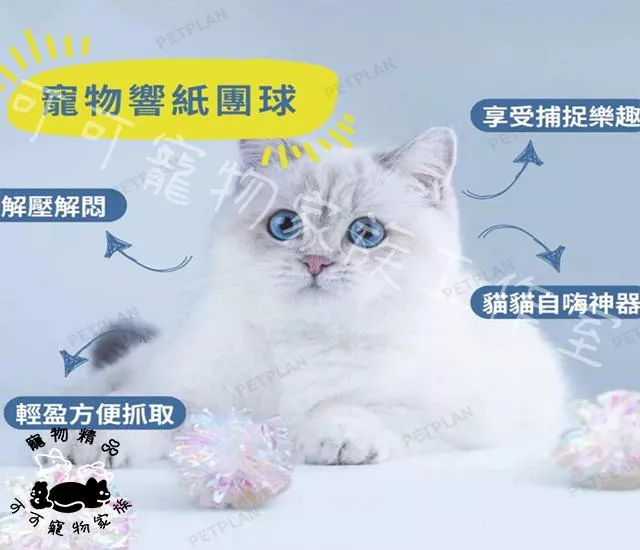 寵物響紙球