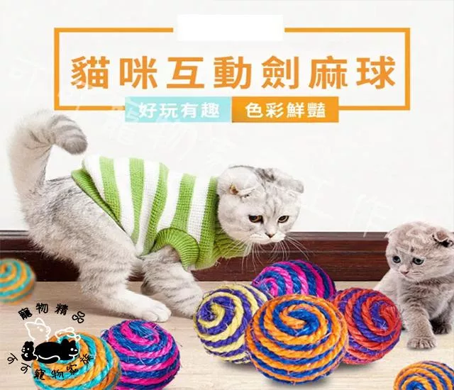 逗貓劍麻球