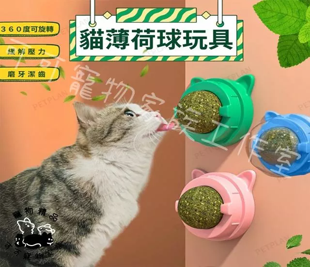 貓薄荷球