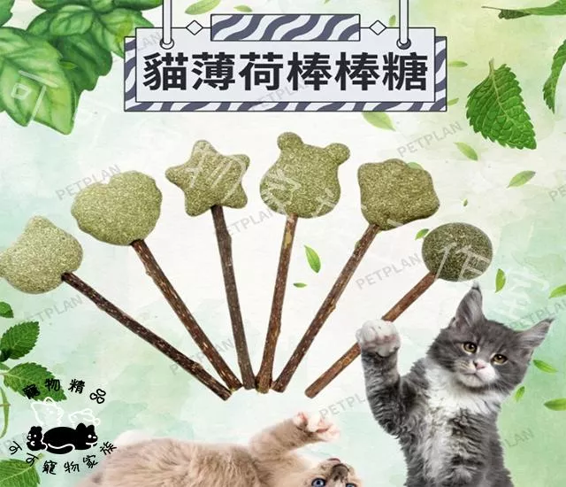 貓薄荷棒棒糖