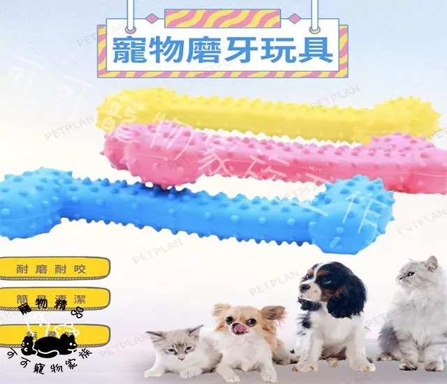 帶刺骨頭磨牙玩具