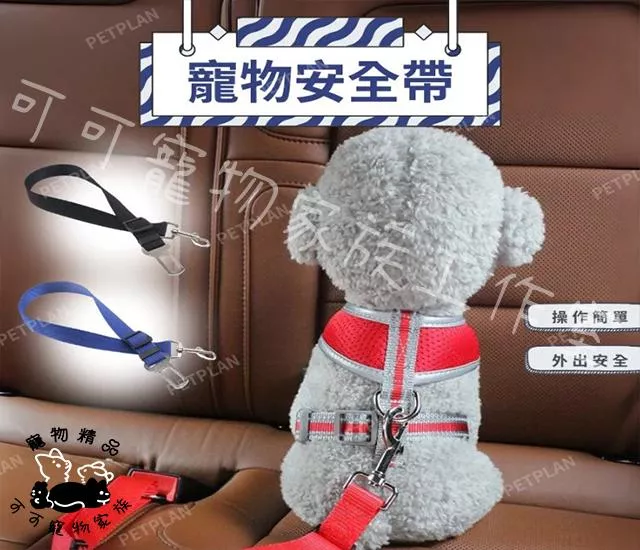 汽車安全帶