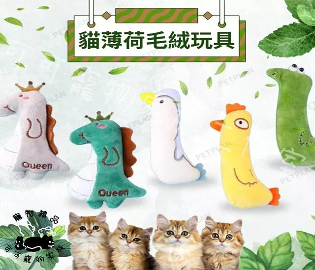 貓薄荷互動玩具