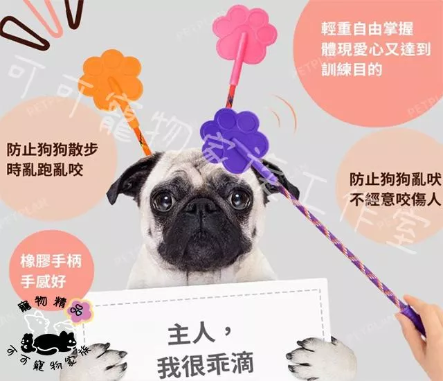 寵物愛的小手
