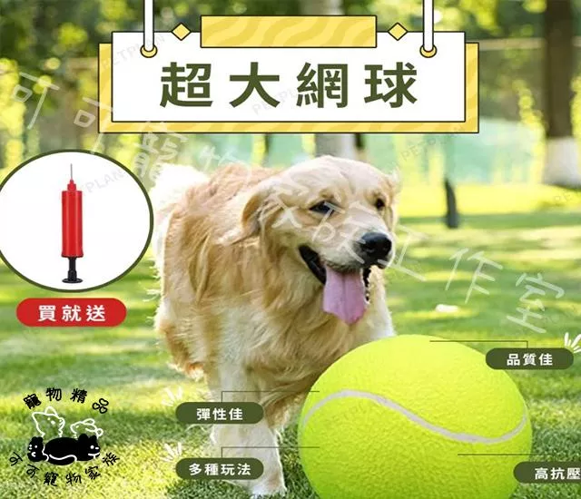 超大網球