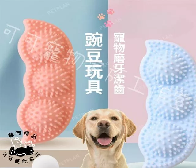 豌豆橡膠潔牙器