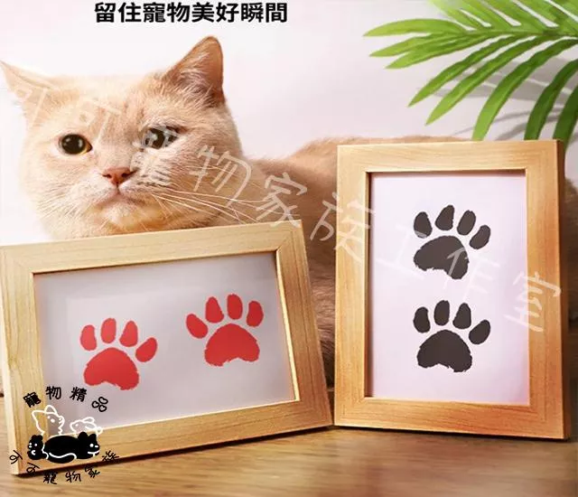 貓狗手足印台