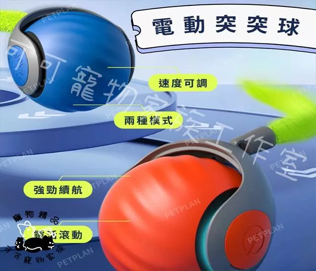 寵物自動逗貓球
