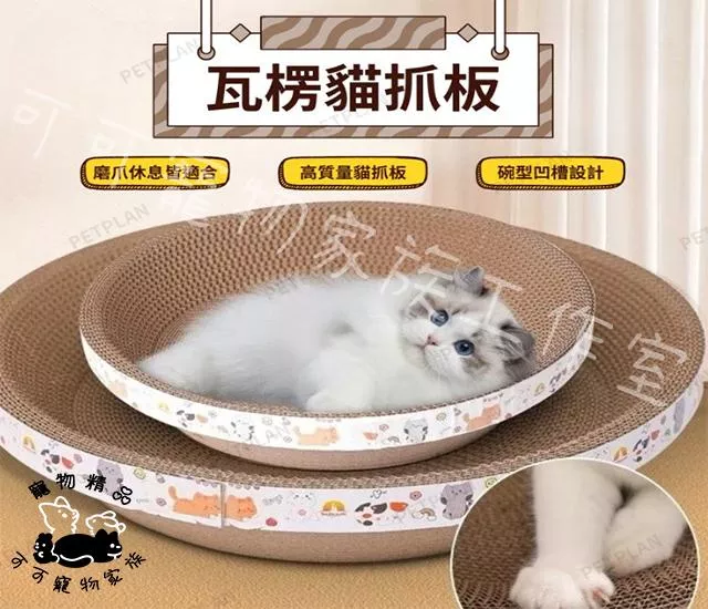 圓餅貓抓窩