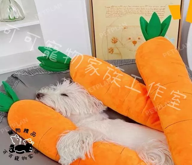 寵物發聲玩具