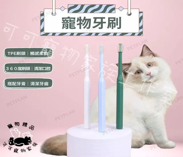 寵物專用牙刷