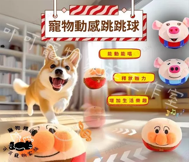 動感跳跳球