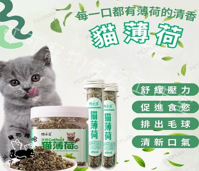 頂級貓薄荷