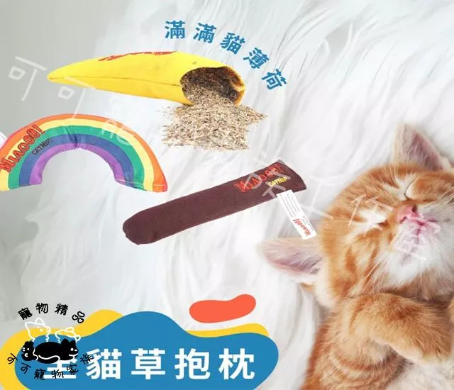 貓薄荷抱枕