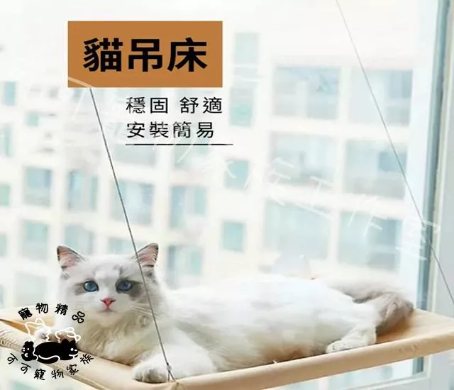 吸盤貓吊床