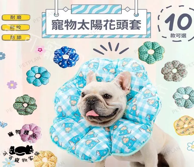 寵物防水伊莉莎白圈