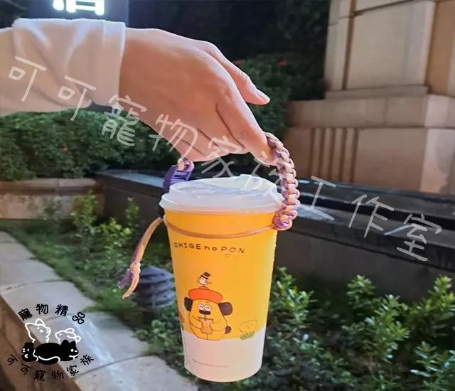 N織夢-人寵同款編織提杯