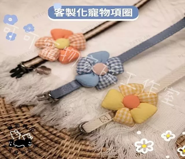 寵物專屬韓系造型項圈