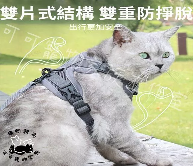 夜間反光胸背帶