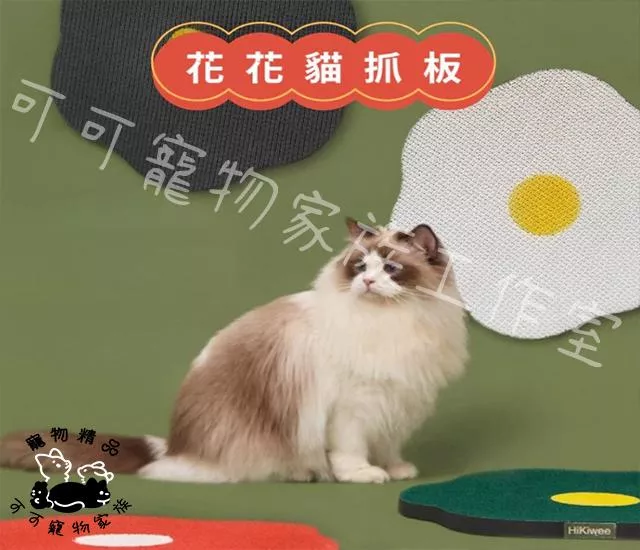 雞蛋造型高密度耐磨貓抓板