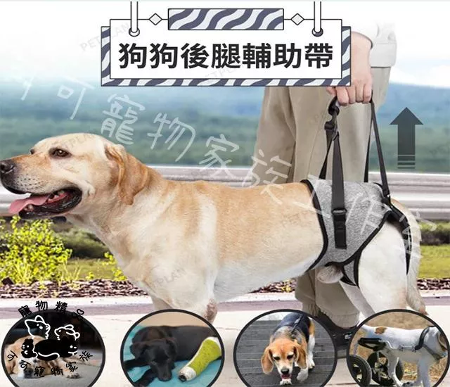 寵物後腿輔助帶