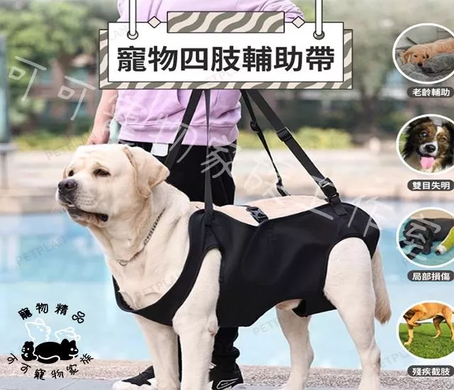 寵物四隻支撐輔助背帶